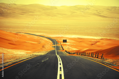 Winding black asphalt road through the sand dunes of Liwa oasis, United Arab Emirates © Cristian Andriana