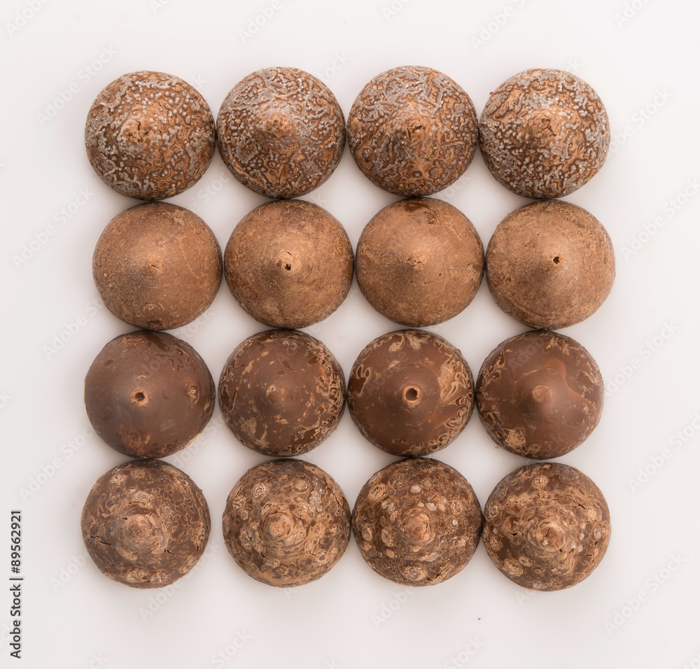 chocolate chocolate