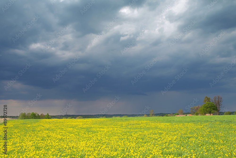 beautiful spring landscape with yellow flowers