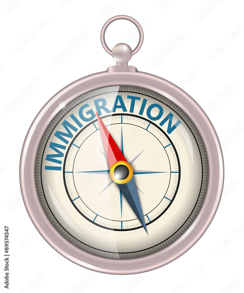 Immigration as concept Immigration as concept