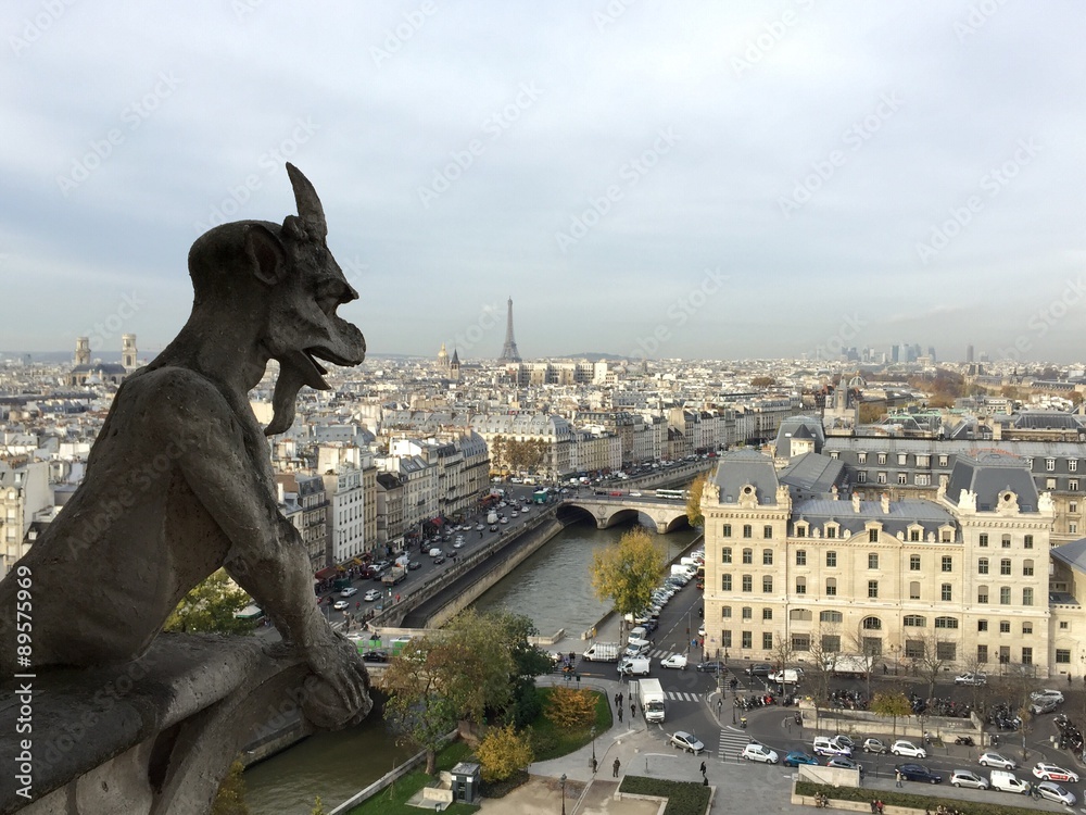 gargouille surveille Paris 
