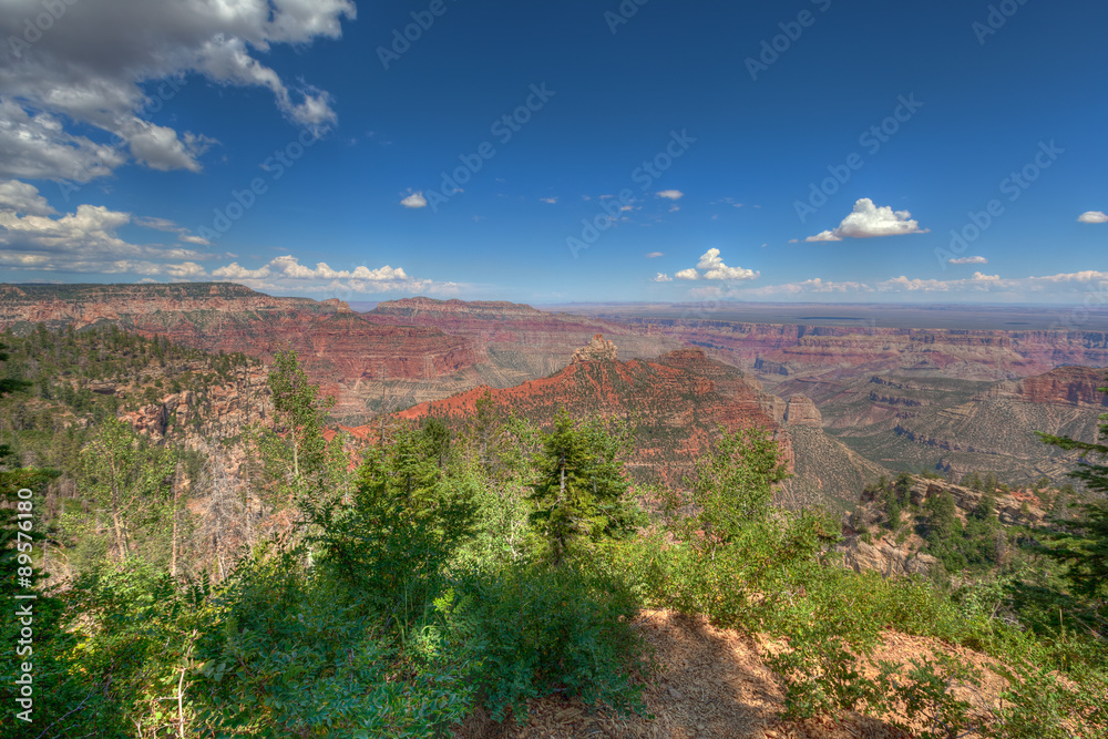 Arizona-Grand Canyon National Park-North Rim-near vista Encantata