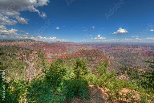 Arizona-Grand Canyon National Park-North Rim-near vista Encantata