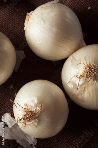 Fresh Organic White Onions