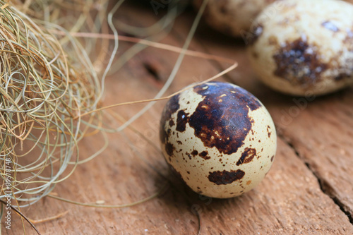 Quail eggs