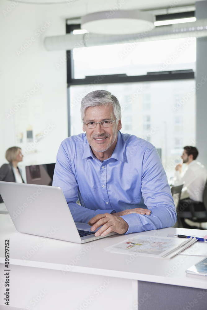 Mature businessman working in office Mature businessman working in office
