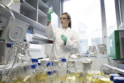 Young female scientist working at biological laboratory inspecting samples
