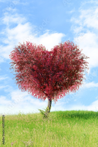 Red tree in heart shape, outdoors