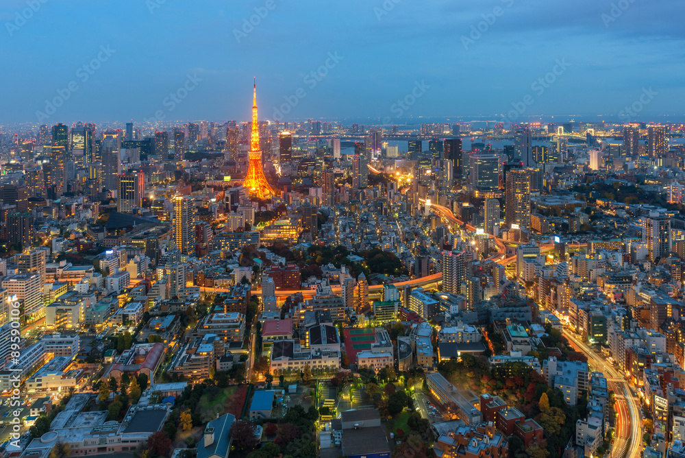 Aerial view of tokyo tower