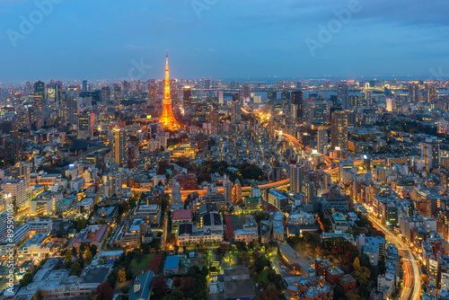 Aerial view of tokyo tower