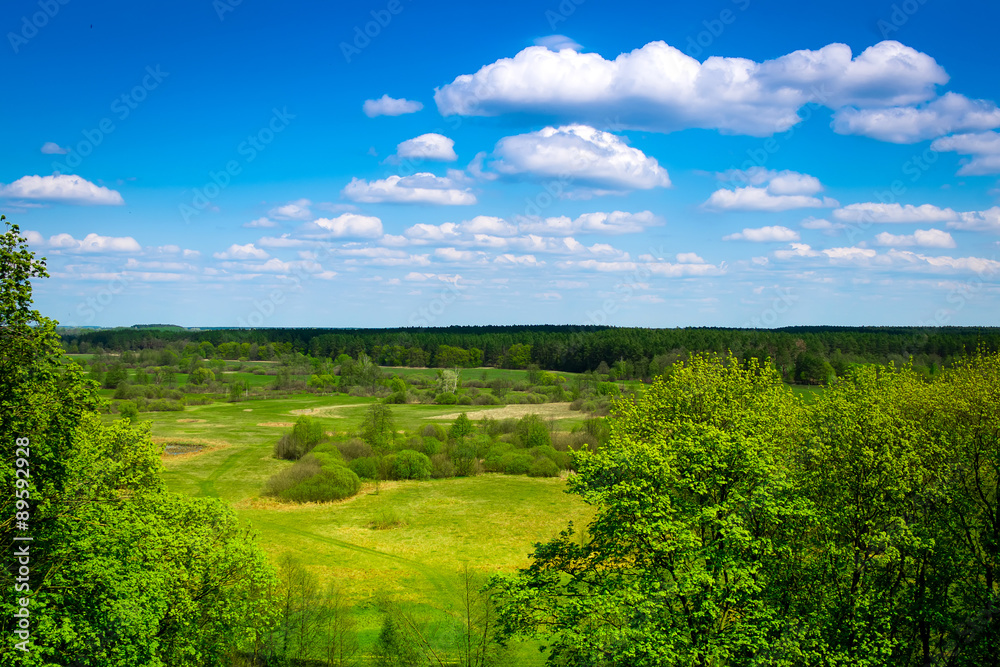Green grassland and blue sky in summer