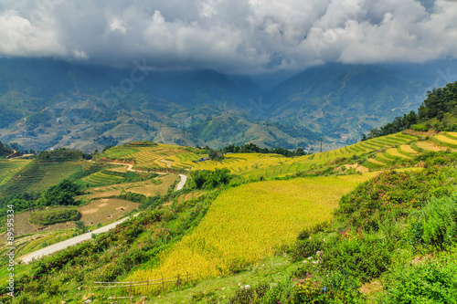Valley Vietnam