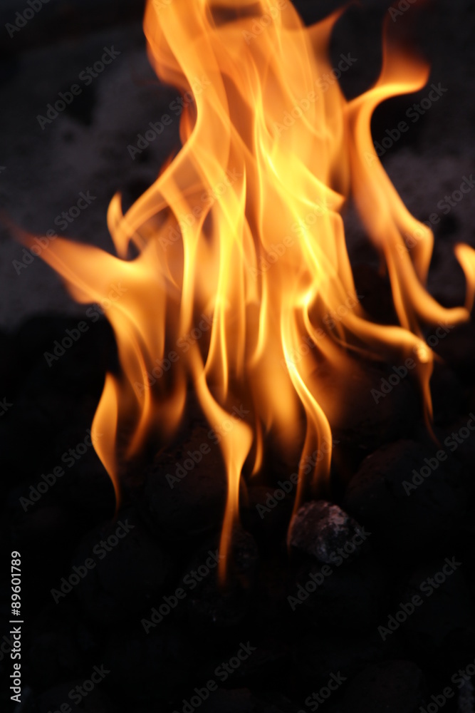Feuer und Flamme / Grillzeit / Stillleben Feuer und Flamme / Grillzeit / Stillleben