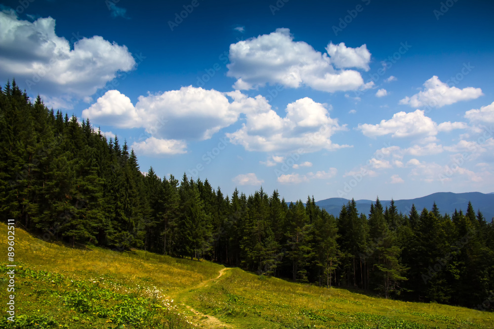 Красивый вид Карпатских гор