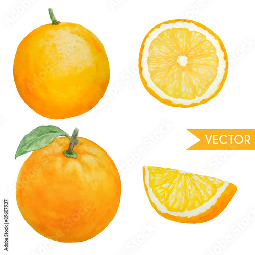 watercolor oranges
