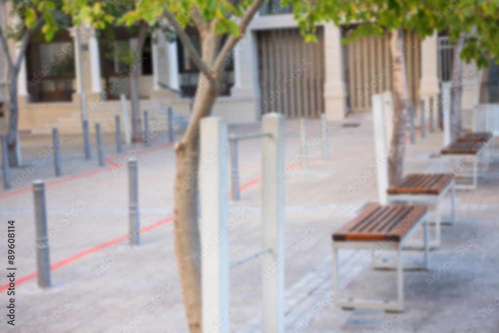 Benches and trees