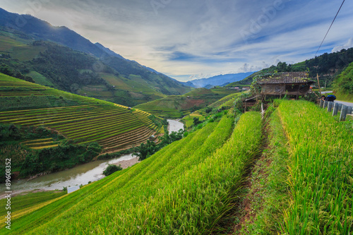 Rice terraces Valley Vietnam