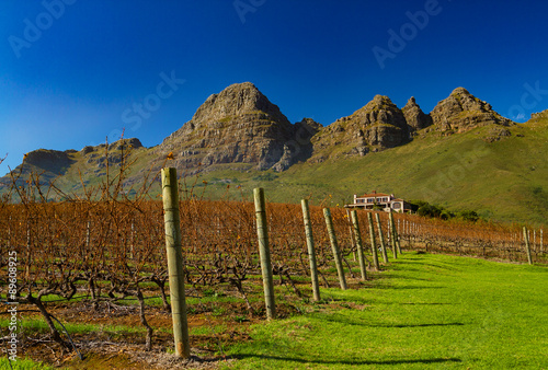 Stellenbosch winefarms photo
