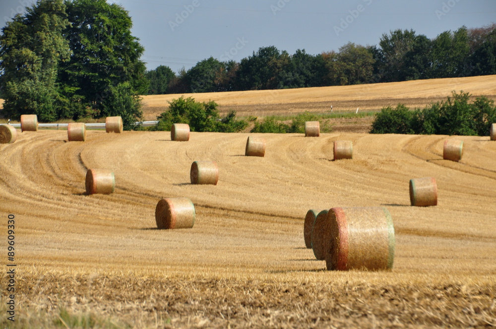 eingebrachte Ernte