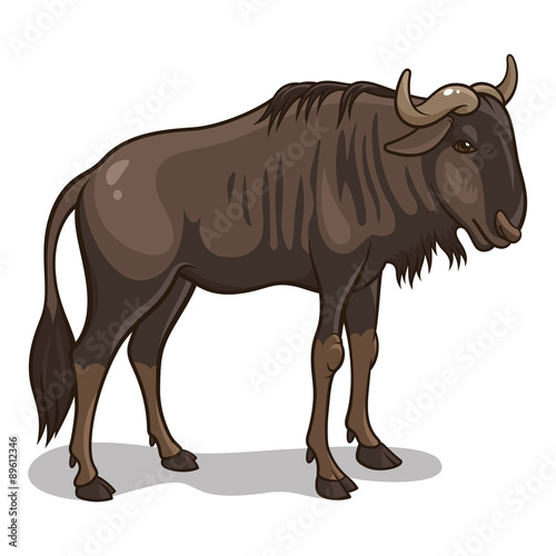 Wildebeest 001