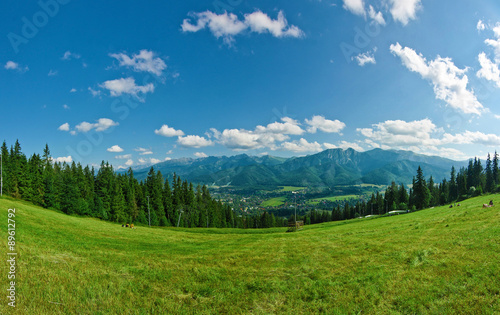 Panorama of Tatras