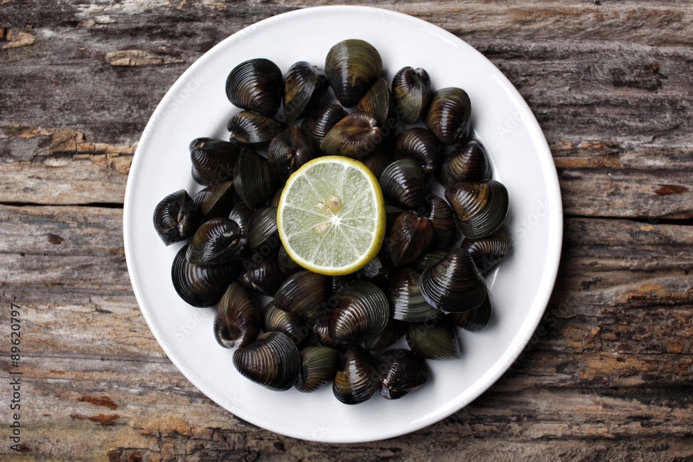 Fototapeta premium Raw clams.