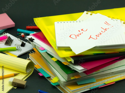 The Pile of Business Documents; Don't Touch