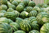 Many ripe watermelons on the market