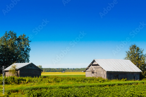 Barns By The Potato Fields