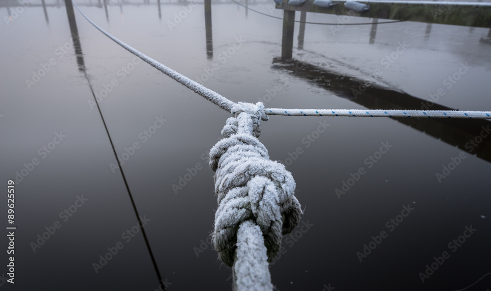 Fototapeta premium Frozen Harbor