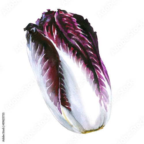 red cabbage radicchio isolated on white