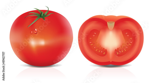 Illustration of tomato