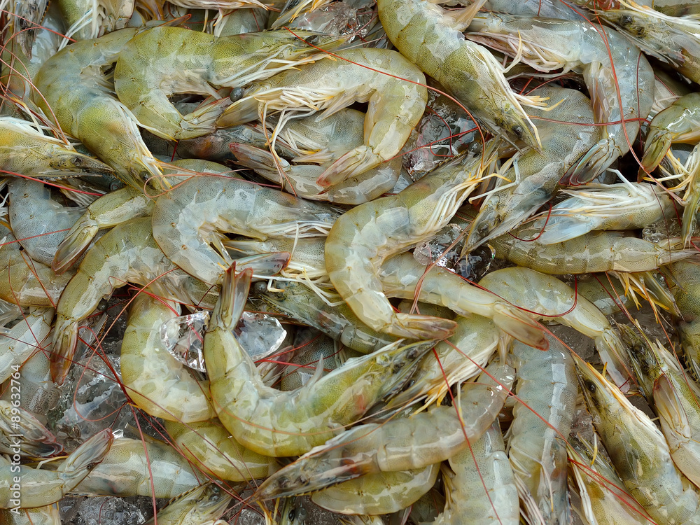 Fresh shrimp Fresh shrimp