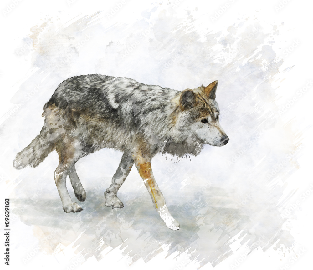 Naklejka premium Wolf Watercolor