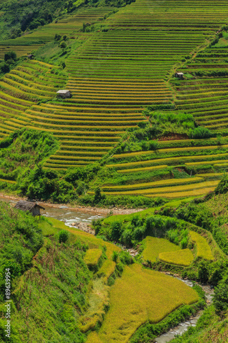 Rice terraces © worachatsodsri