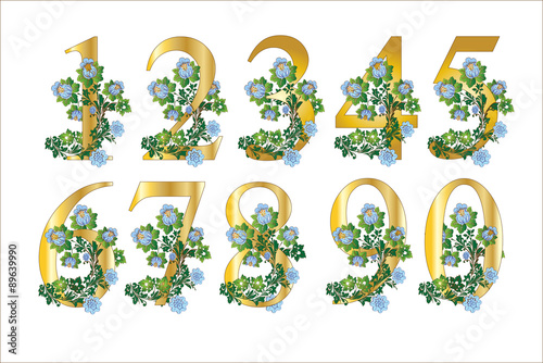 NUMERI FLOREALI
