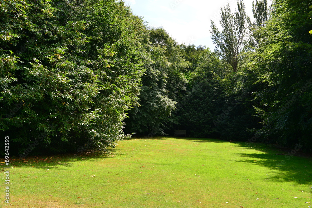 A tree lined area of a park in Surrey in Summer