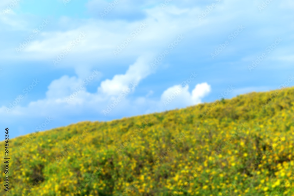 Obraz premium Out of focus Mexican Sunflower Weed fields with blue sky