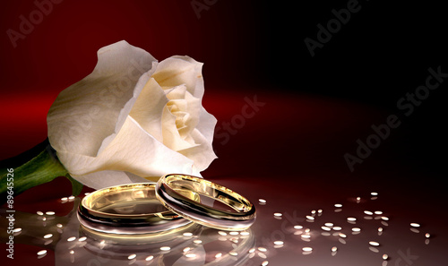 Rosa Bianca con fedi