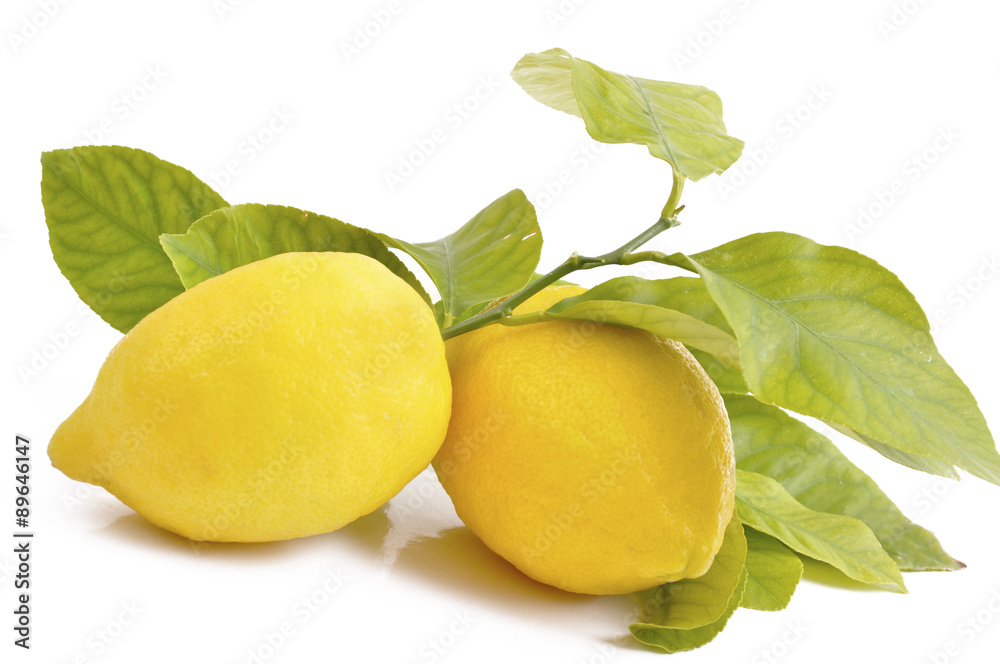 limoni con  foglie-juicy lemons with yellow leaves