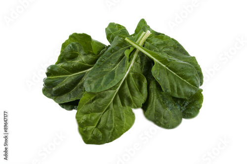 fresh chard on a white background