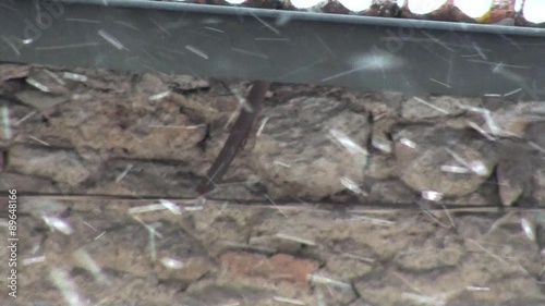 Snow falls in winter