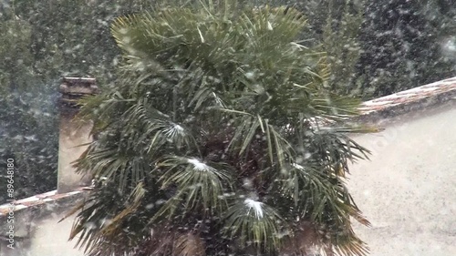 snow falls in winter