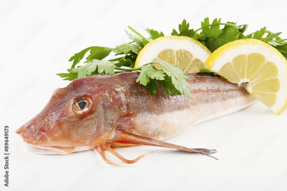 chicken of the sea chicken of the sea