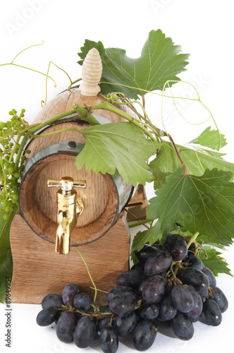 In oak casks with vines and grapes white and black photo