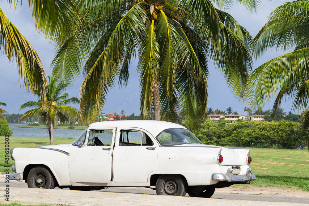 Weisser Oldtimer parkt unter Palmen in Varadero Kuba