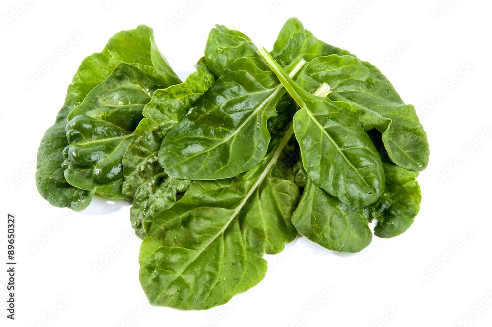 Obraz premium fresh chard on a white background