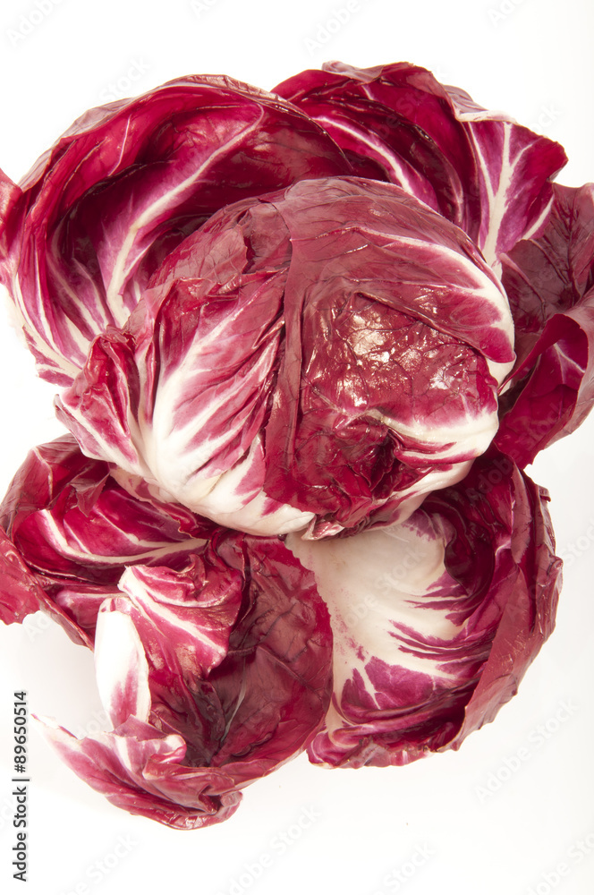 red radicchio cabbage on white background red radicchio cabbage on white background