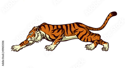 tiger