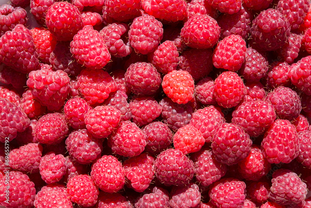 Lots of ripe red raspberries background Lots of ripe red raspberries background